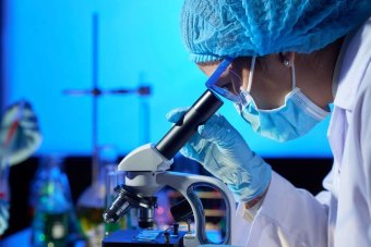 /imagens/noticia/curso-de-biomedicina-o-que-faz280545.jpg