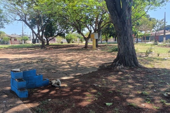 /imagens/noticia/imagem-do-whatsapp-de-2025-09-30-s-09-53-55-ecea21cd300906.jpg